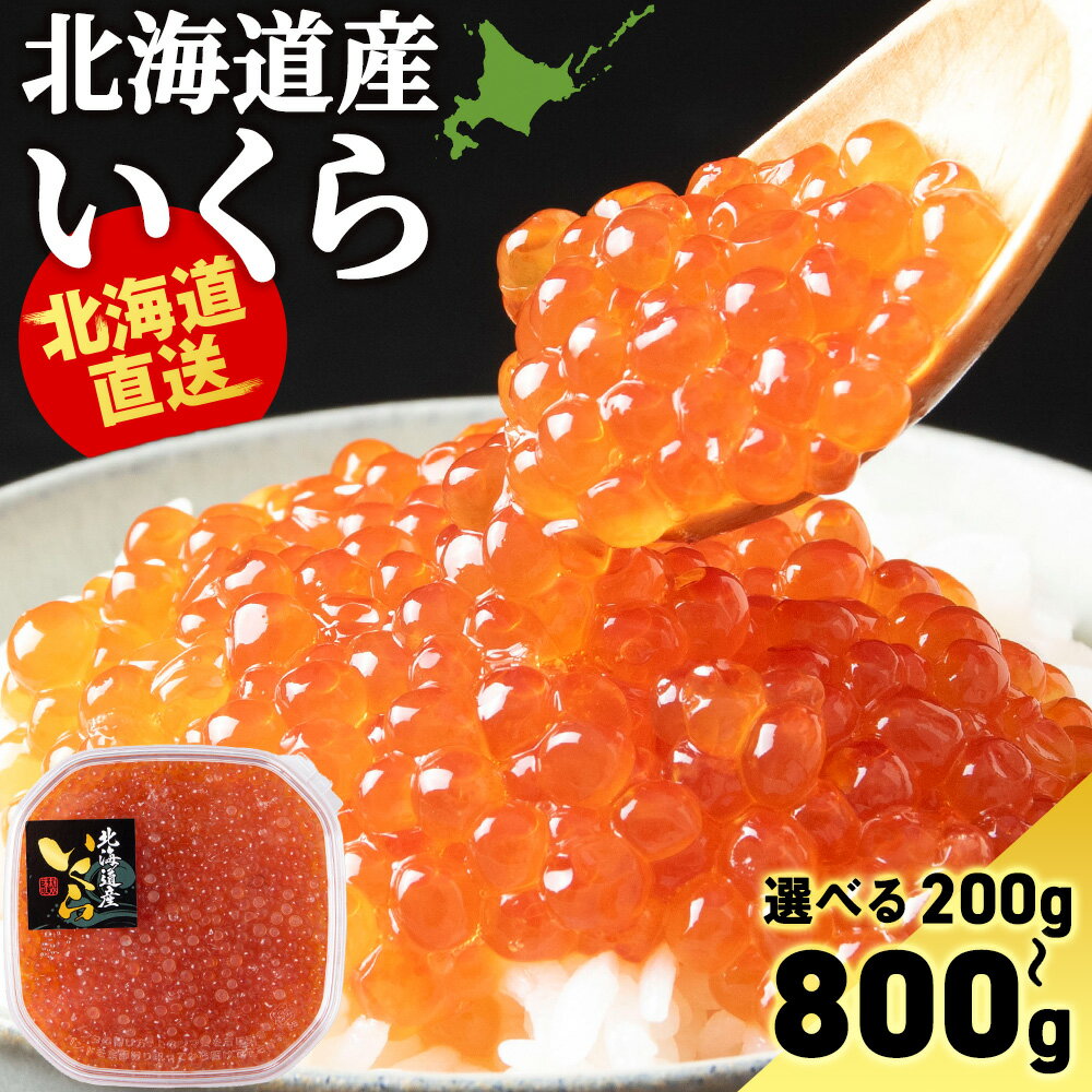 【ふるさと納税】いくら醤油漬け 選べる400g〜800g 1パック200g〈小田切水産〉いくら 醤油漬け 北海道 小分けいくら イクラ 魚卵 醤油漬け しょうゆ...