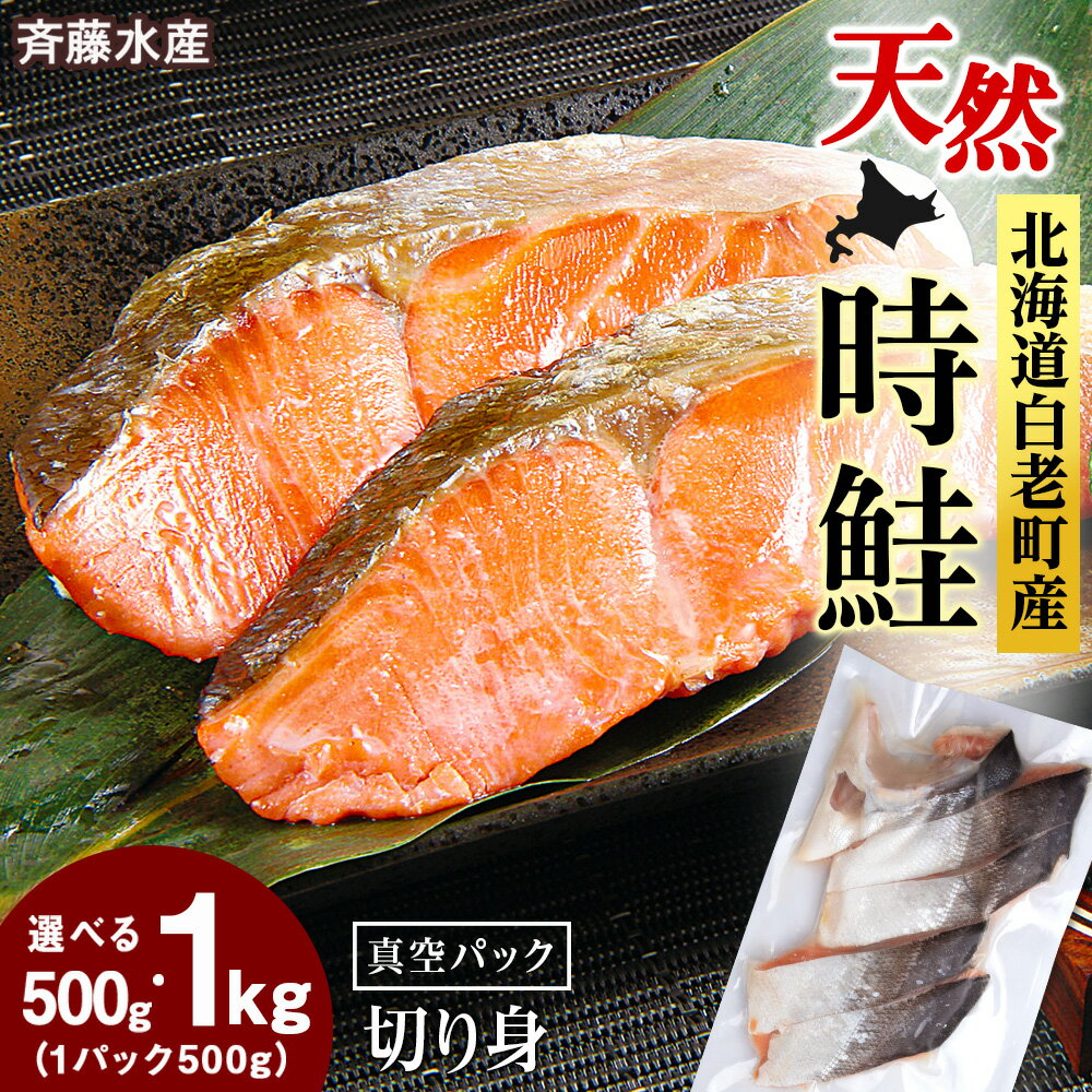 白老町産 時鮭 トキシラズ 選べる500g〜1kg 真空パック 1パック500g[斉藤水産]さけ サケ 鮭 切身 カット済み サケ 小分け カット 海鮮 魚介類 魚 切身 北海道ふるさと納税 白老 ふるさと納税 北海道