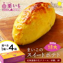 【ふるさと納税】由栗いも まいこのスイートポテト 特大 選べる1個~4個 お菓子 スイーツ お茶うけ 洋菓子 さつまいも 冷凍 いも おかし 北海道 AR107...