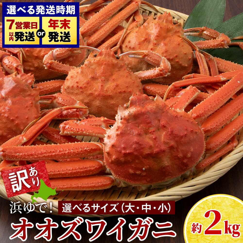 【ふるさと納税】訳あり オオズワイガニオス 選べる小〜大サイズ 計2kg 浜ゆで 大サイズ4〜5尾入 中サイズ6〜10尾入 小サイズ8〜20尾入 選べる発送月冷...