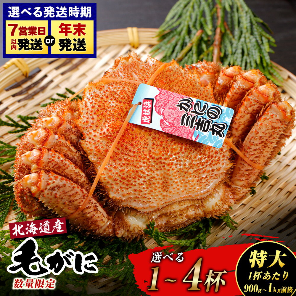 [特大] 北海道産 冷凍ボイル 毛ガニ 選べる1尾〜4尾 (1尾900g-1kg前後) 蟹 かに カニ 毛ガニ AS119 選べる発送月毛がに 毛ガニ 毛蟹 蟹 カニ 北海道ふるさと納税 白老 ふるさと納税 北海道 おせち 年末