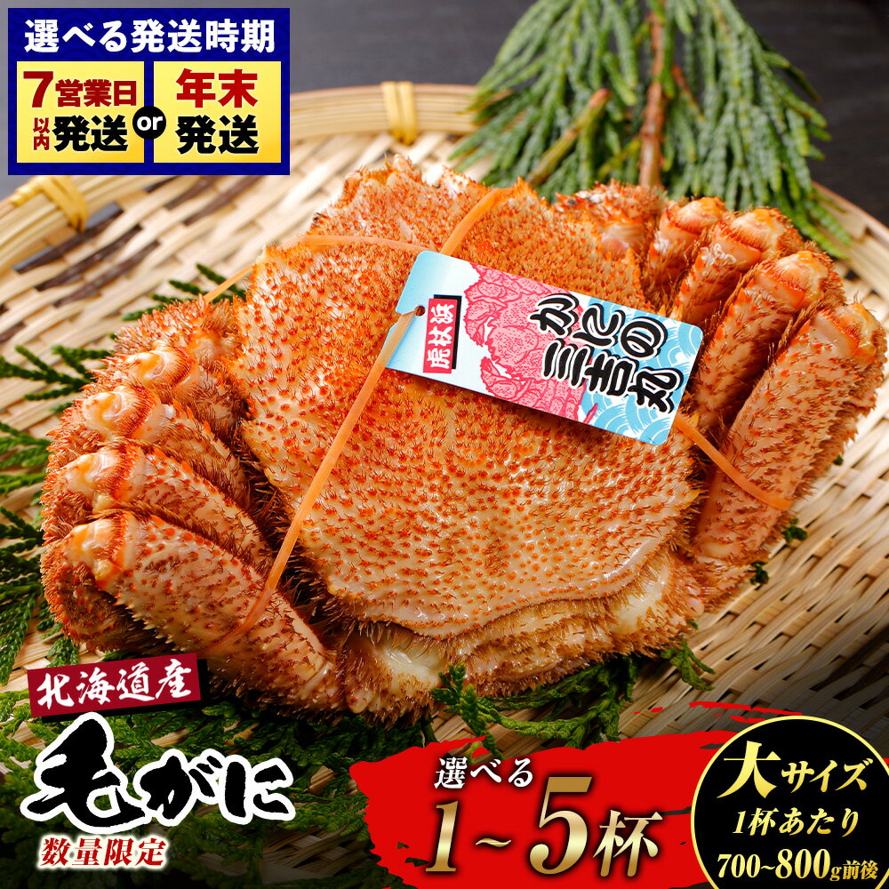 [大サイズ]北海道産 冷凍ボイル毛ガニ 選べる1尾〜5尾 (1尾700g-800g前後) AS123 選べる発送月毛がに 毛ガニ 毛蟹 ケガニ 毛かに 毛カニ 蟹 カニ 北海道ふるさと納税 白老 ふるさと納税 北海道 年末