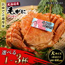 【ふるさと納税】【大サイズ】北海道産 冷凍ボイル毛ガニ 選べる1尾〜3尾 (1尾600g-660g前後)毛がに 毛ガニ 毛蟹 蟹 カニ 北海道ふるさと納税 白老...