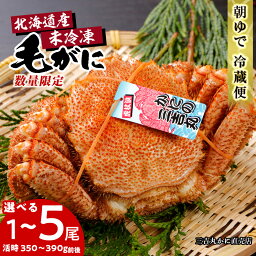 【ふるさと納税】数量限定【朝ゆで】北海道産ボイル毛ガニ 選べる1尾~5尾(活時350-390g前後)毛がに 毛ガニ 毛蟹 蟹 カニ チルド 冷蔵 北海道ふるさと納税 白老 ふるさと納税 北海道
