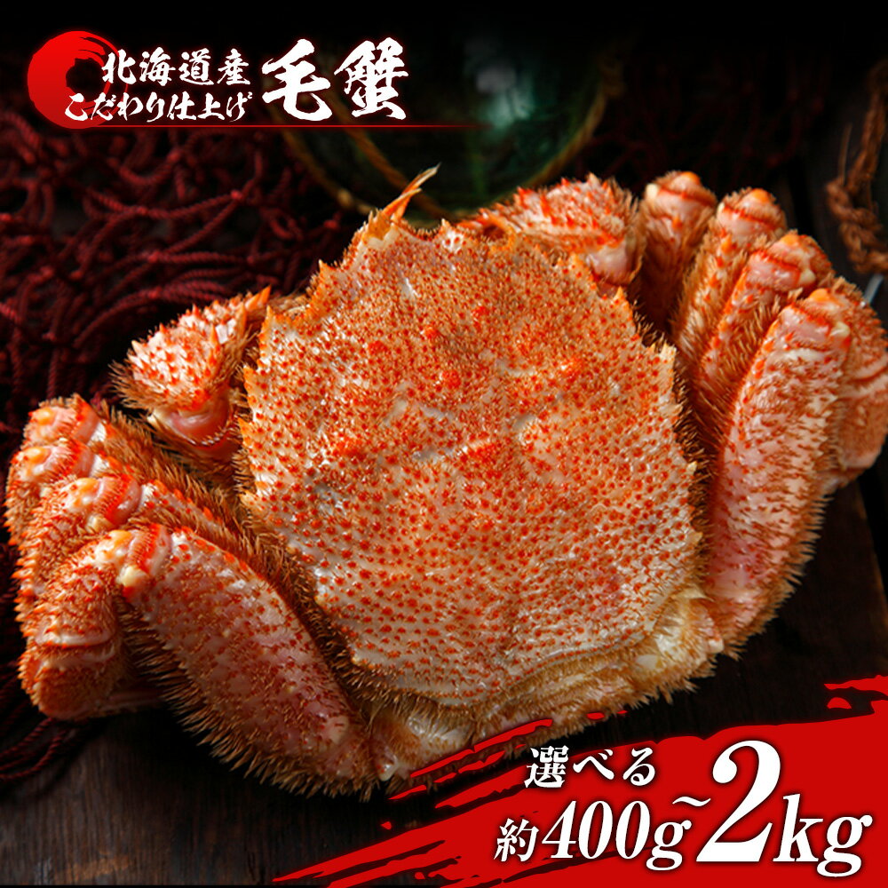 【ふるさと納税】毛蟹 ボイル済み 冷凍 選べる1尾〜5尾セット 1尾約400g BM247ボイル 毛がに 毛ガニ 毛蟹 ボイル 蟹 カニ 北海道ふるさと納税 白...