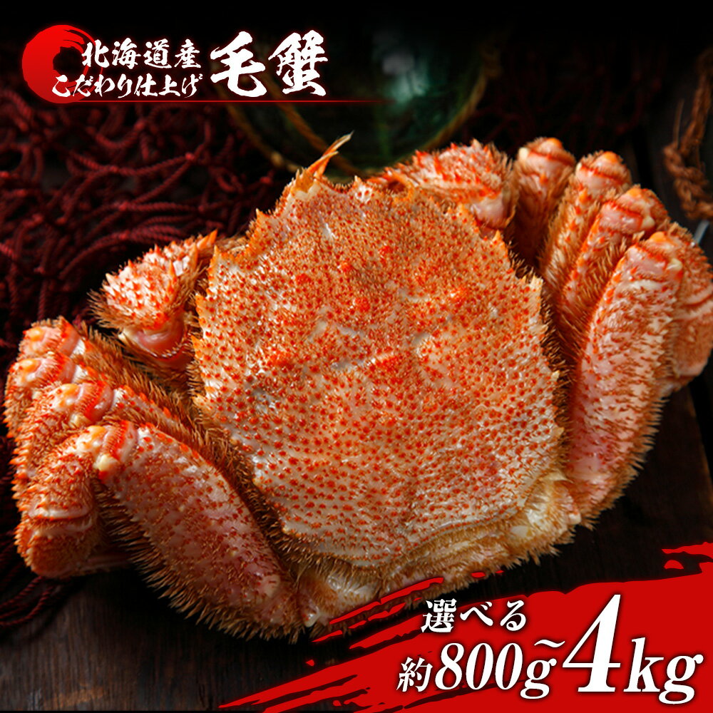 【ふるさと納税】毛蟹 ボイル済み 冷凍 選べる1尾〜5尾セット 1尾約800g BM284ボイル 毛がに 毛ガニ 毛蟹 ボイル 蟹 カニ 北海道ふるさと納税 白...