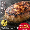 【ふるさと納税】 北海道産 白老豚 ハンバーグ 選べる10個〜20個セット 1個120gハンバーグ 加工肉 豚肉 白老豚 白老 北海道 北海道ふるさと納税 白老...
