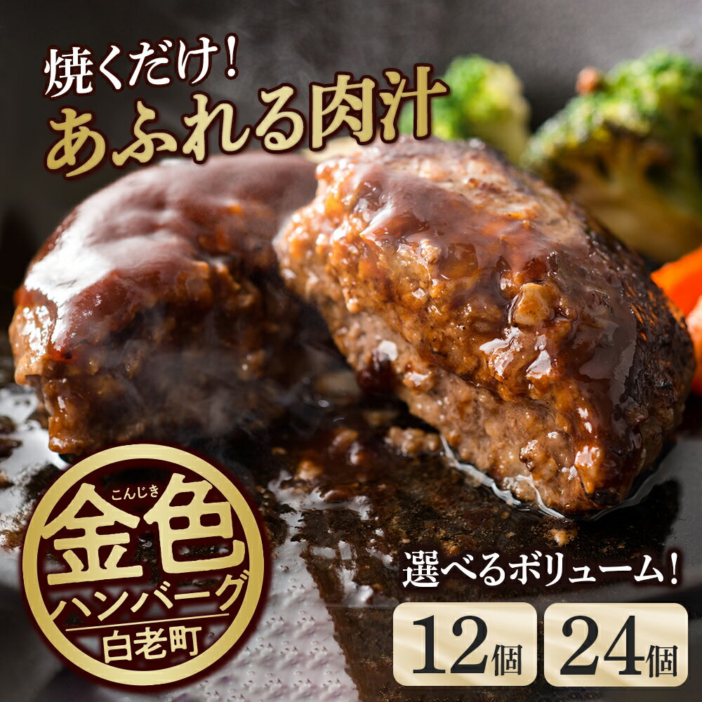 商品詳細 名称 白老合挽金色ハンバーグ 内容量 ■150g×12個入 ■150g×24個入 消費期限 賞味期限 90日間（解凍後は早めにお召し上がり下さい。） アレルギー 卵 乳 小麦 牛肉 豚肉 発送時期 ご入金確認後、1か月以内に発送いたします。 配送方法 冷凍 事業者 株式会社 道南食肉センター お礼品の特徴 ◆北海道白老町の「白老豚」と国産牛の黄金比で仕上げた合挽ハンバーグです。 ◆150g×12個〜24個とボリュームたっぷりのハンバーグをご家庭でお楽しみいただけます。 ◆豚特有の臭みがなく、さっぱりした脂とジューシーな赤身が特徴の「白老豚」としっかりと牛肉も感じられる国産牛で仕上げたこだわりのハンバーグを是非ご堪能下さい。 〜白老豚とは〜 脂のキメが細かく肉の色味が良いことが特徴。 一貫生産のため移動が少なく、ストレスの少ない健康な豚です。 ニンニクを添加した飼料を使用し、ビタミンを多く含んだ、柔らかく甘みを感じる食感が特徴の豚肉です。 ◆お礼の品・配送に関するお問い合わせ◆ 株式会社スプレス　白老町コールセンター(TEL：011-807-0176　平日9：00〜17：30） 関連キーワードふるさと納税楽天市場ふるさと納税北海道ふるさと納税納税ふるさと納税お祝いふるさと納税ギフトふるさと納税人気ランキングお試し食品グルメお取り寄せグルメ訳あり訳アリ父の日父の日ギフト父の日プレゼントお父さん母の日母の日ギフト母の日プレゼントお母さん敬老の日おじいちゃん祖父おばあちゃん祖母御中元お中元中元お歳暮御歳暮歳暮クリスマス残暑御見舞残暑見舞いギフトプレゼント贈り物お見舞い退院祝い全快祝い快気祝い快気内祝い結婚式結婚祝いご結婚御祝結婚内祝い引き出物引出物引越しご挨拶引っ越し出産祝い出産内祝い合格祝い合格内祝い進学祝い進学内祝い入学祝い入学内祝い小学校入学祝い小学校入学内祝い中学校入学祝い中学校入学内祝い高校入学祝い高校入学内祝い大学入学祝い大学入学内祝い幼稚園入園内祝い卒業記念品卒業祝い新築祝新築内祝い金婚式お祝いお供え法事供養バースデーバースデイバースディ七五三祝い白老町では寄附金の使い道を以下から指定していただき、その目的に応じた事業の財源として活用させていただきます。 （1）町長にお任せ（指定なし） （2）元気な白老の子どもたちの育成 （3）アイヌ文化伝承、その他文化活動 （4）食材王国づくり、地域産業振興 （5）元気な町民活動・協働のまちづくり （6）誰もが安心して暮らせるまちづくり （7）景観・みどりの保全、環境づくり 入金確認後、注文内容確認画面の【注文者情報】に記載の住所にお送りいたします。 発送の時期は、寄附確認後30日以内を目途に、お礼の特産品とは別にお送りいたします。 ・ふるさと納税よくある質問はこちら ・寄付申込みのキャンセル、返礼品の変更・返品はできません。あらかじめご了承ください。