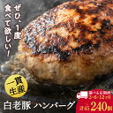 【ふるさと納税】【選べる定期便】 北海道産 白老豚 ハンバーグ 選べる15個〜20個セット 1個120g 冷凍 洋食 おかず BV034ハンバーグ 加工肉 豚肉...