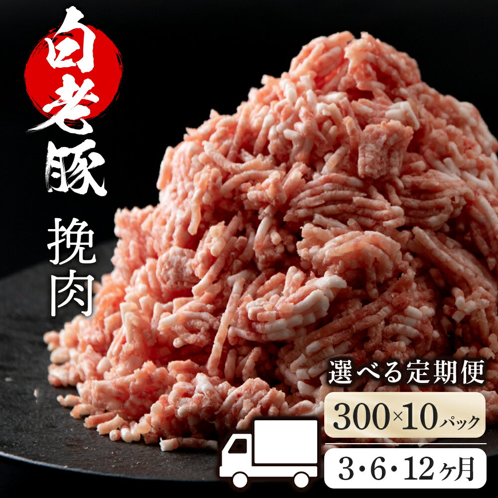 【ふるさと納税】【選べる定期便】北海道産 白老豚 挽肉 300g×10パック BV040挽肉 加工肉 ミンチ 豚肉 白老豚 白老 …