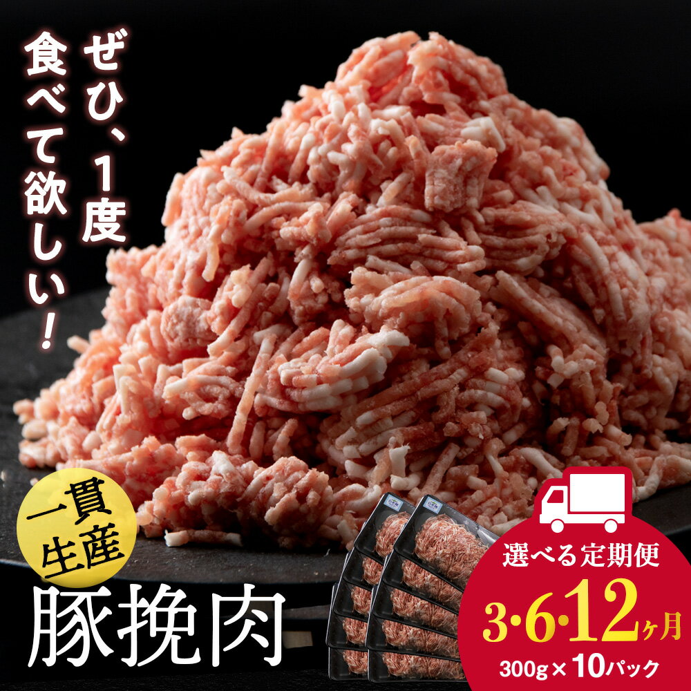 【ふるさと納税】【選べる定期便】北海道産 白老豚 挽肉 300g×10パック BV040挽肉 加工肉 ミンチ 豚肉 白老豚 白老 北海道 北海道ふるさと納税 白...
