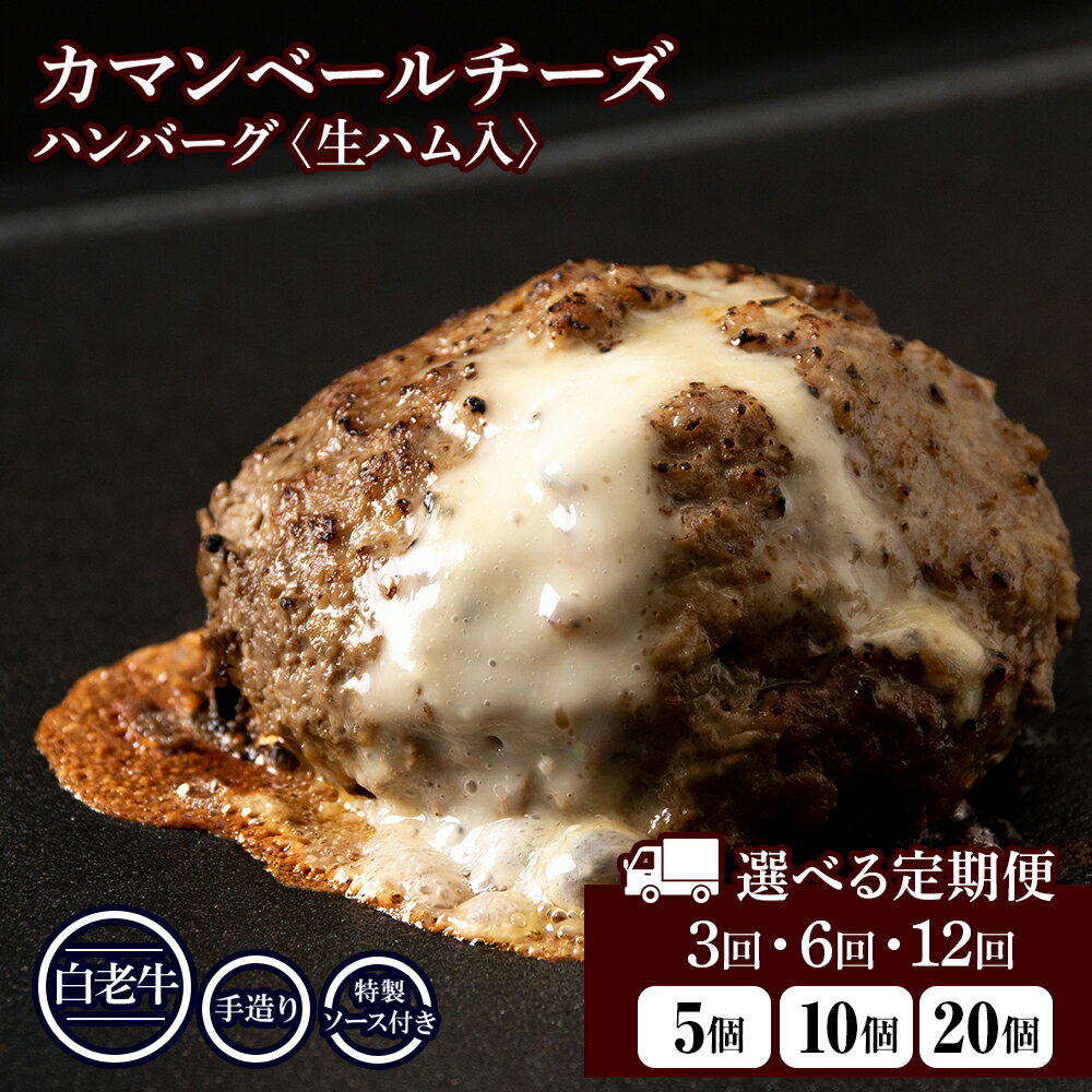 【ふるさと納税】選べる定期便 お楽しみ 北海道産 白老牛 カマンベールチーズハンバーグ 5個〜20個セット 冷凍 チーズ イン ハンバーグ BY112和牛 牛肉...
