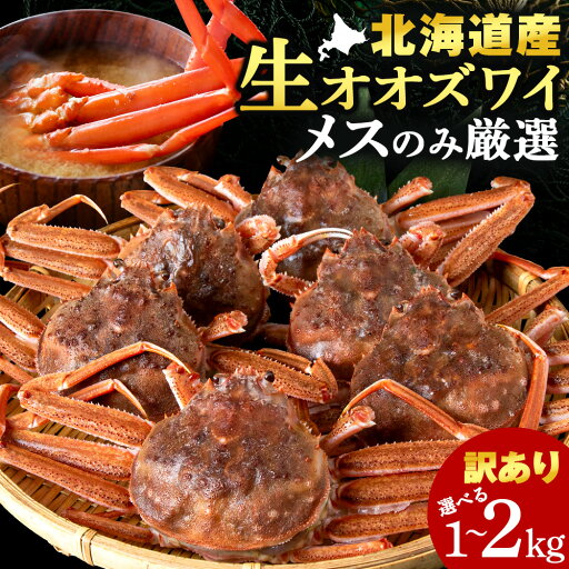 【ふるさと納税】北海道産 生大ズワイガニ メス 選べる1kg~2kg (加熱用) ずわいがに 蟹 〈斉藤水産〉 AM158 AM159冷凍 訳あり ズワイガニ ずわい蟹 ずわいガニ ズワイかに ずわいカニ 蟹 姿 カニ 生ずわい ズワイ姿 オオズワイガニ オオズワイ 白老 北海道 年末 【ふるさと納税】北海道産 生大ズワイガニ メス 選べる1kg~2kg (加熱用) ずわいがに 蟹 〈斉藤水産〉 AM158 AM159冷凍 訳あり ズワイガニ ずわい蟹 ずわいガニ ズワイかに ずわいカニ 蟹 姿 カニ 生ずわい ズワイ姿 オオズワイガニ オオズワイ 白老 北海道 年末
