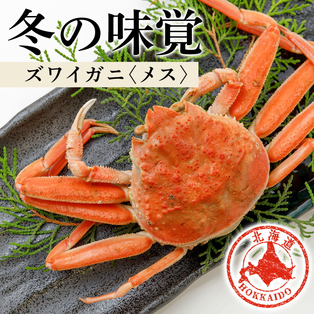 【ふるさと納税】北海道産 生大ズワイガニ メス 選べる1kg～2kg （加熱用） ずわいがに 蟹 〈斉藤水産〉 AM158 AM159冷凍 訳あり ズワイガニ ずわい蟹 ずわいガニ ズワイかに ずわいカニ 蟹 姿 カニ 生ずわい ズワイ姿 オオズワイガニ オオズワイ 白老 北海道 年末