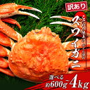 【ふるさと納税】訳あり ズワイガニ 姿 ボイル 済 冷凍 選べる約600g〜4kg 1尾〜5尾 ずわい 蟹 カニずわいがに ズワイガニ ずわい蟹 ずわいガニ ズ...