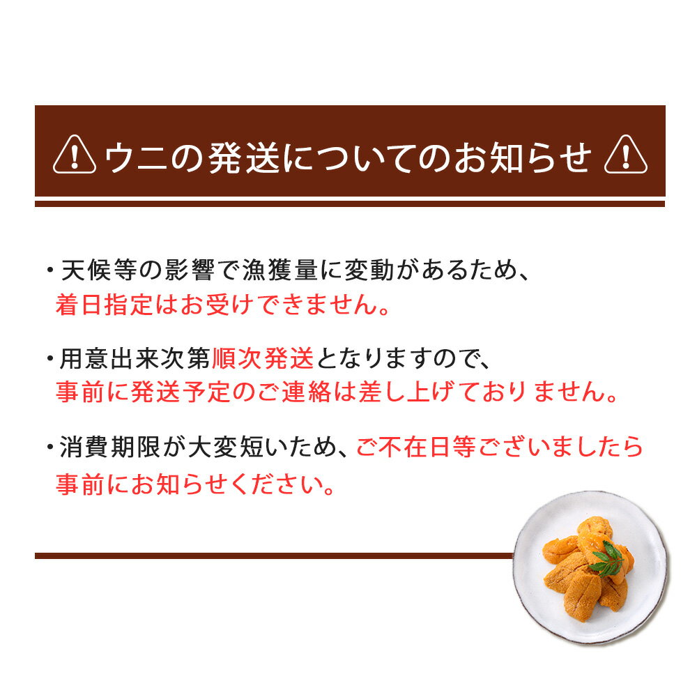 【ふるさと納税】2024年 発送予約 ウニ本来の味が楽しめる【白老産】塩水ムラサキウニ 100g×2パック BT005