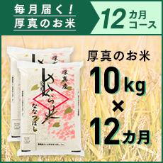 【ふるさと納税】1年間！毎月届く定期便「厚真のお米」10kg