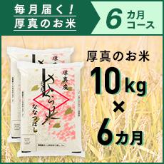 【ふるさと納税】6か月!毎月届く定期便「厚真のお米」10kg