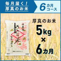 【ふるさと納税】6ヵ月！毎月届く定期便「厚真のお米」5kg