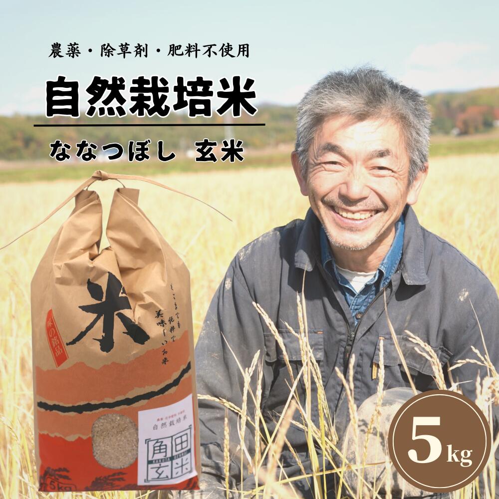 【ふるさと納税】北海道厚真町産　農薬不使用・自然栽培米　角田玄米　5kg（ななつぼし)のサムネイル