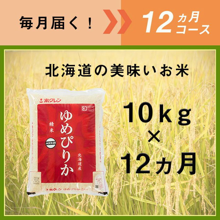 【ふるさと納税】12ヵ月定期便！最高のお米「ゆめぴりか」毎月10kgコース