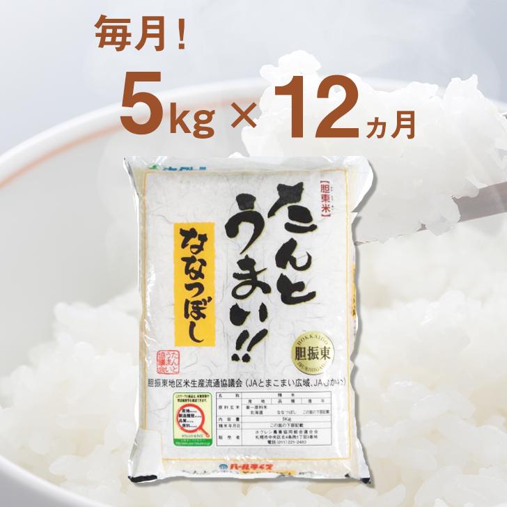 【ふるさと納税】【12回定期便】白米 5kg/月 ななつぼし