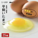 2位! 口コミ数「42件」評価「4.74」平飼い有精卵 25個 無投薬 安心安全 こだわり たまご 玉子 生卵 鶏卵 タマゴ 北海道 厚真町 国産 【送料無料】