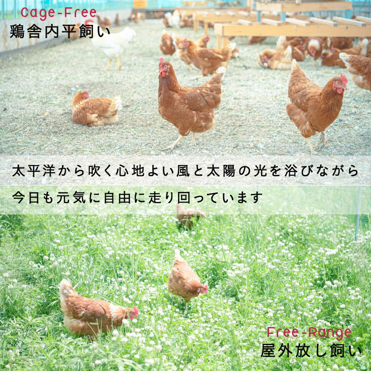 【ふるさと納税】平飼い有精卵 25個 無投薬 安心安全 こだわり たまご 玉子 生卵 鶏卵 タマゴ 北海道 厚真町 国産 【送料無料】