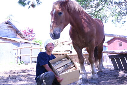 ＜馬の林業＞西埜馬搬の北海道ナラ薪100kg