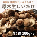 11位! 口コミ数「1件」評価「5」北海道厚真町産＜原木＞生しいたけ