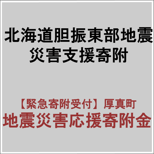 【ふるさと納税】【平成30年北海道胆振東部地震災害支援緊急寄附受付】厚真町災害応援寄附金（返礼品はありません） 