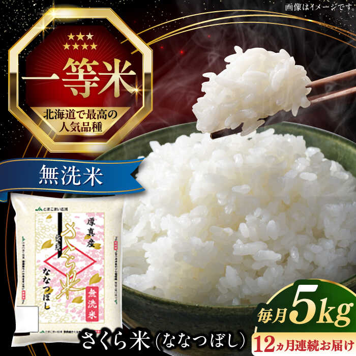 【ふるさと納税】 無洗米 5kg 定期便 年間 特A さくら米 ななつぼし 北海道 《厚真町》【とまこまい広域農業協同組合】 12回 米 お米 無洗米 白米 ご飯 ななつぼし 北海道 定期便 [AXAB010]のサムネイル