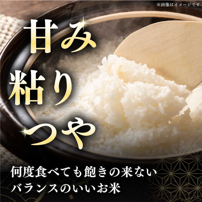 【ふるさと納税】 新米 令和7年産 米 10kg 全3回定期便 特A ななつぼし [たんとう米] 北海道 白米 《厚真町》【とまこまい広域農業協同組合】3ヶ月 連続 米 お米 白米 ご飯 ななつぼし 北海道 定期便 [AXAB069]