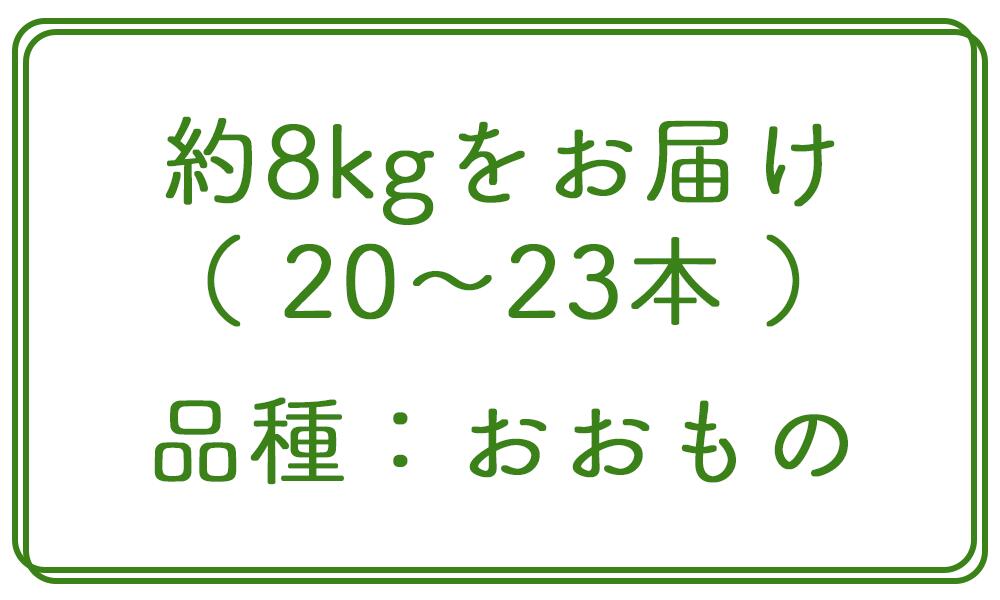 【ふるさと納税】【2026年8月下旬発送予定】先行予約 北海道 厚真産とうもろこし おおもの《厚真町》【(株)厚真ファーム】旬の野菜 夏野菜 大粒 高糖度 甘い トウモロコシ トウキビ 唐黍 コーン [AXAE001] 15000 15000円