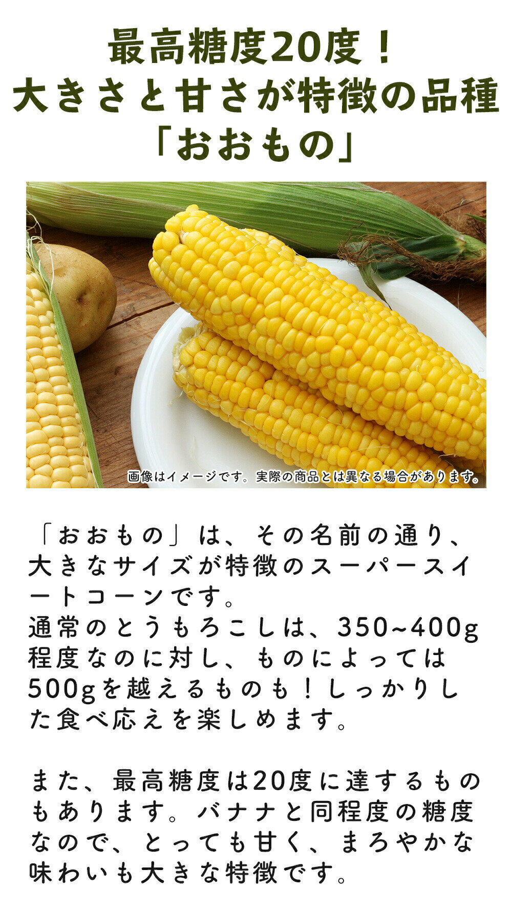 【ふるさと納税】【2026年8月下旬発送予定】先行予約 北海道 厚真産とうもろこし おおもの《厚真町》【(株)厚真ファーム】旬の野菜 夏野菜 大粒 高糖度 甘い トウモロコシ トウキビ 唐黍 コーン [AXAE001] 15000 15000円