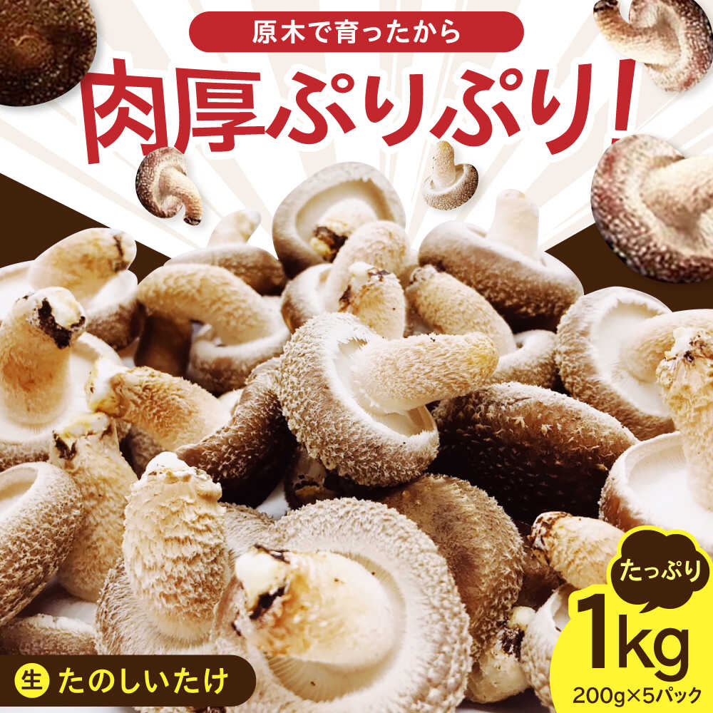 【ふるさと納税】 原木 生しいたけ 1kg(200g×5パック)《厚真町》【株式会社きたい】 生 しいたけ 椎茸 きのこ キノコ 小分け 北海道 [AXAI00...
