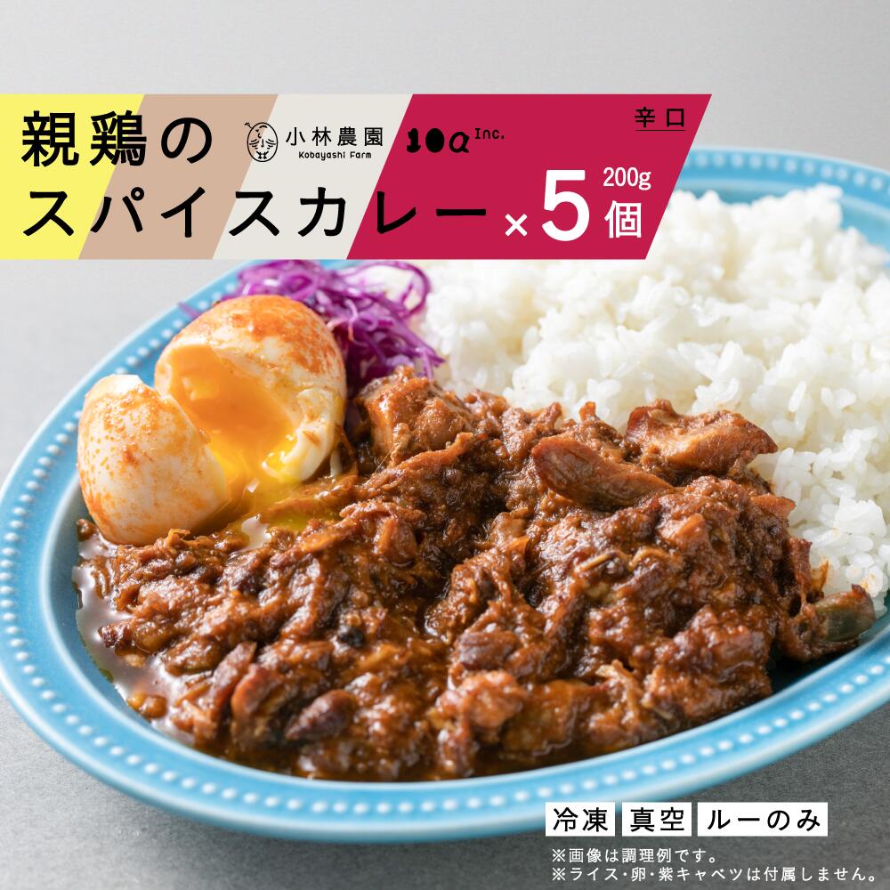親鶏のスパイスカレー 5個セット(辛口)[厚真町][テンアール株式会社] カレー スパイスカレー 辛口 鶏 鶏肉 平飼い 冷凍配送 北海道 [AXAN009] 10000 10000円