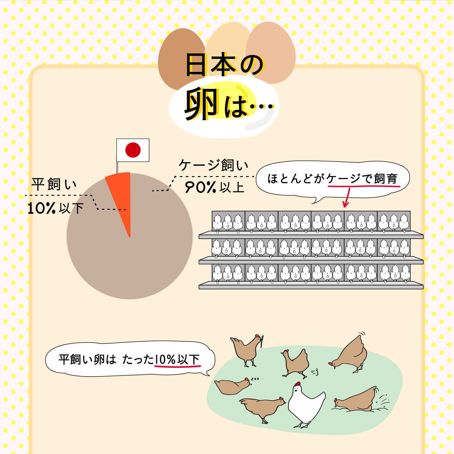 【ふるさと納税】【月2回・全2回定期便】こだわりの無投薬・平飼い有精卵 50個《厚真町》【テンアール株式会社】 たまご 卵 鶏卵 玉子 生卵 平飼い 北海道 定期便[AXAN019]