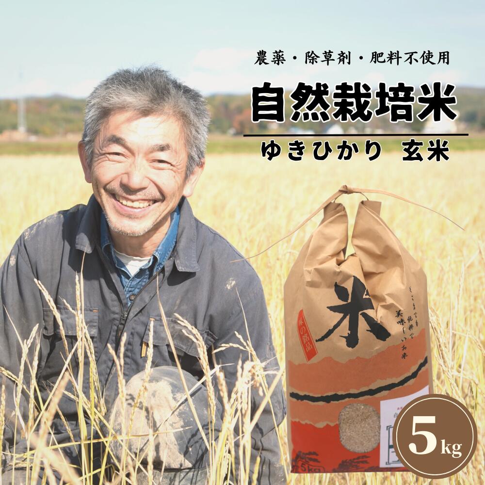 R8年産 10月中旬以降 受付開始予定【数量限定】自然栽培米 角田玄米 ゆきひかり 5kg 《厚真町》【カクタファーム】北海道 厚真町産 農薬不使用 玄米 米 お米 ご飯 ごはん 北海道【AXAR006】