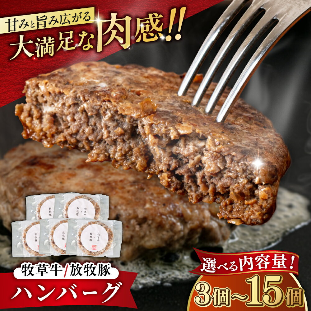 [お中元対象][牧草牛×放牧豚]ハンバーグ 3〜15個 [厚真町][GOODGOOD株式会社] ハンバーグ 牛肉 豚肉 小分け 冷凍配送 北海道[AXBP006/AXBP007/AXBP008/AXBP013]