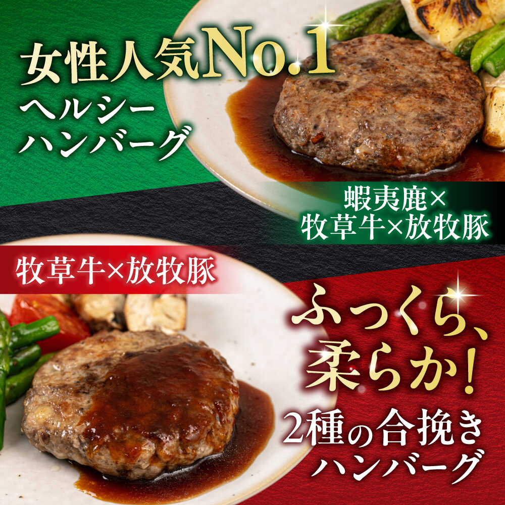 【ふるさと納税】ハンバーグ 食べ比べ 10個セット お届け回数選べる！ （蝦夷鹿/牧草牛/放牧豚）《厚真町》【GOODGOOD株式会社】 定期便 ハンバーグ 鹿肉 牛肉 豚肉 セット 食べ比べ 小分け 冷凍配送 北海道 毎月 1年 [AXBP009/AXBP046/AXBP047/AXBP048/AXBP049]
