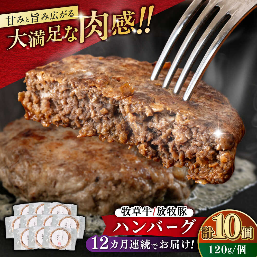 【ふるさと納税】【全12回定期便】【牧草牛×放牧豚】ハンバーグ 10個《厚真町》【GOODGOOD株式会社】 ハンバーグ 牛肉 豚肉 小分け 冷凍配送 北海道[AXBP041]