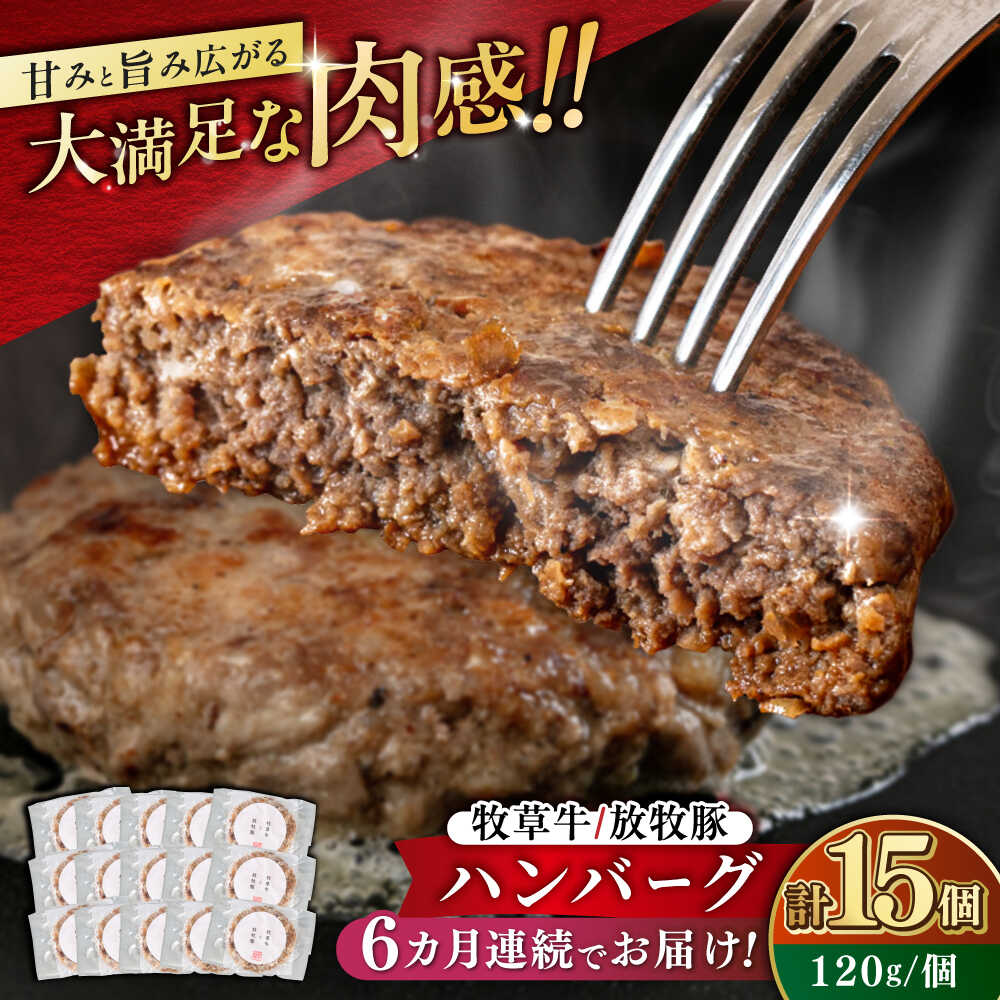 【ふるさと納税】【全6回定期便】【牧草牛×放牧豚】ハンバーグ 15個 《厚真町》【GOODGOOD株式会社】 ハンバーグ 牛肉 豚肉 小分け 冷凍配送 北海道[AXBP044]