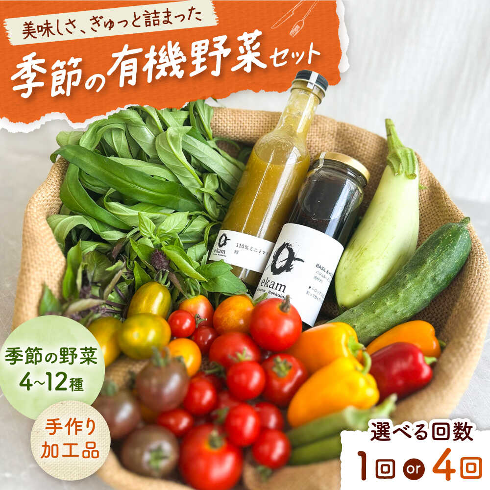 「季節の有機野菜セット」2〜3人分 [厚真町] [ekam][AXBV007]