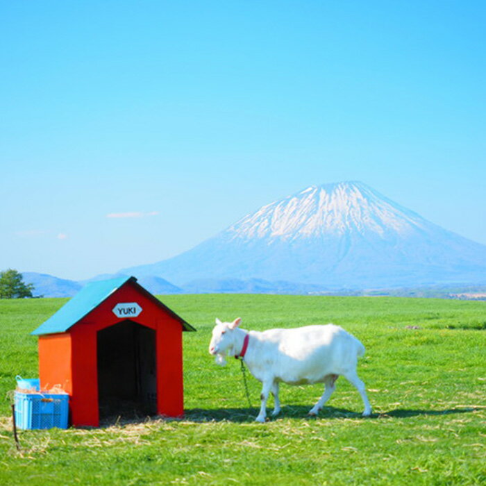 【ふるさと納税】【ふるさと納税】北海道洞爺湖町...の紹介画像3