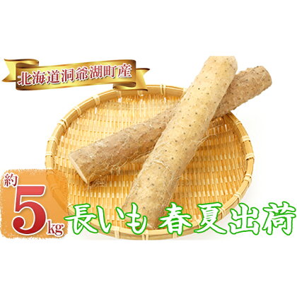 長いも(春夏出荷)約5kg 【野菜・野菜セット】 お届け:2020年5月中旬〜8月上旬まで