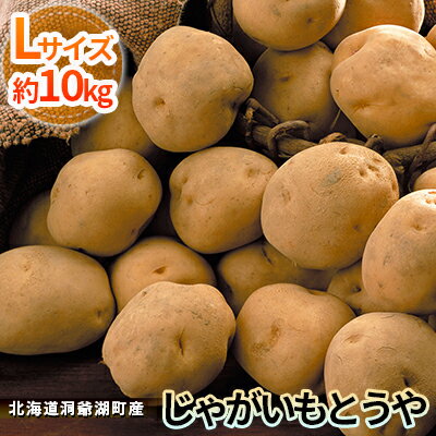 記事番号:33287/アイテムID:360363の画像