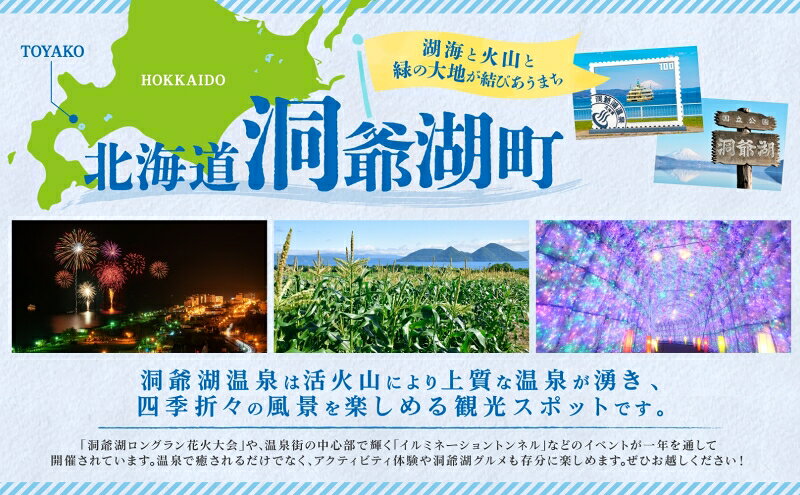 【ふるさと納税】洞爺湖遊覧乗船券ペアチケット レジャー 春 夏 秋 冬 湖 人気 パワースポット 北海道 洞爺湖町 入場券 優待券 ふるさと納税 洞爺湖 観光 体験 絶景 アクティビティ 旅 旅行 トラベル ご褒美 記念日 癒し ジオパーク f015849-toyako-10000014 北海道洞爺湖町 サンプル画像3