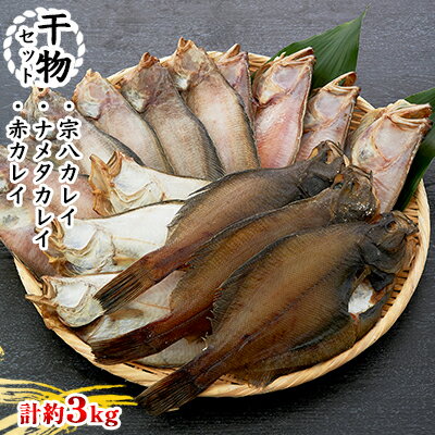 【ふるさと納税】干物セット　ふぞろいな仲間たち　【魚貝類・加工食品・干物セット・干物】