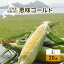 【ふるさと納税】北海道産 とうもろこし 恵味 ゴールド 2L 20本 朝採り めぐみ イエロー トウモロコシ 玉蜀黍 スイートコーン とうきび 大きめ 甘い 新鮮 旬 夏 もぎたて 産地直送　【野菜・とうもろこし】　お届け：2024年8月中旬～9月末頃まで